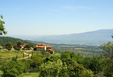 VenditaAziende AgricoleFigline Valdarno