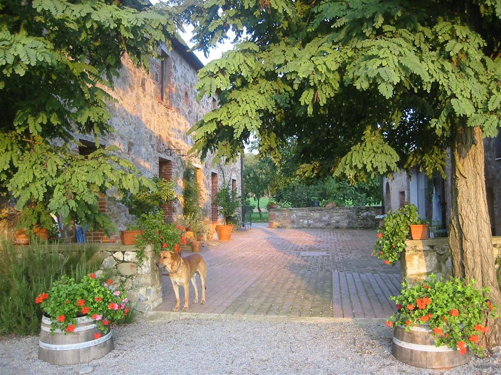 VenditaAgriturismi - Case VacanzaCastelnuovo Berardenga