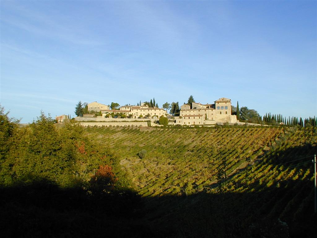 VenditaAziende AgricoleGaiole in Chianti